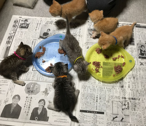 イメージ 3