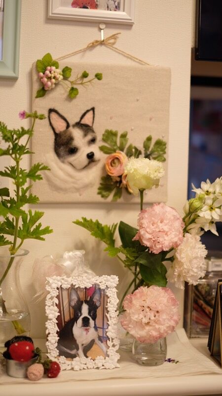 4B890C9F-8F6C-444B-9E59-F9D2F0B14097