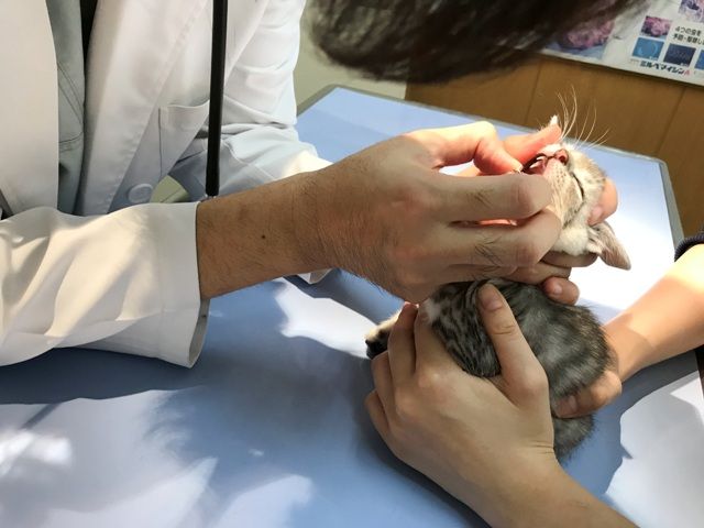 イメージ 23