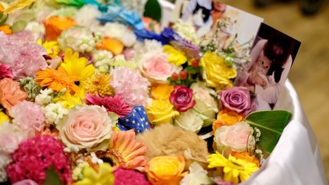 9ED4AC58-671E-480C-8D55-CCC2BB8EB473