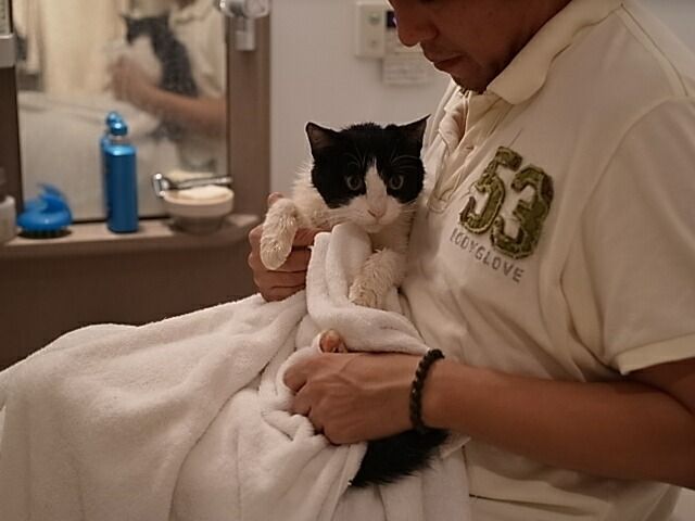 イメージ 1