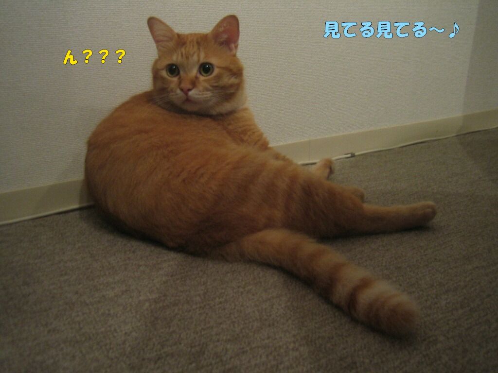 イメージ 3