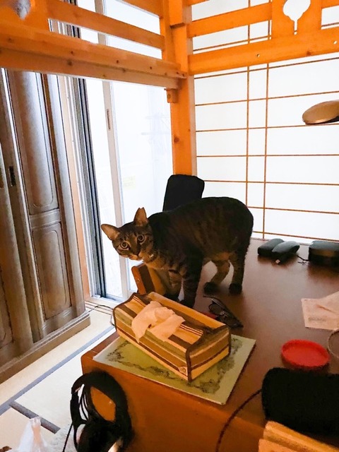 6665C1E7-3D76-4A1D-BC1C-EA99194AEF2D