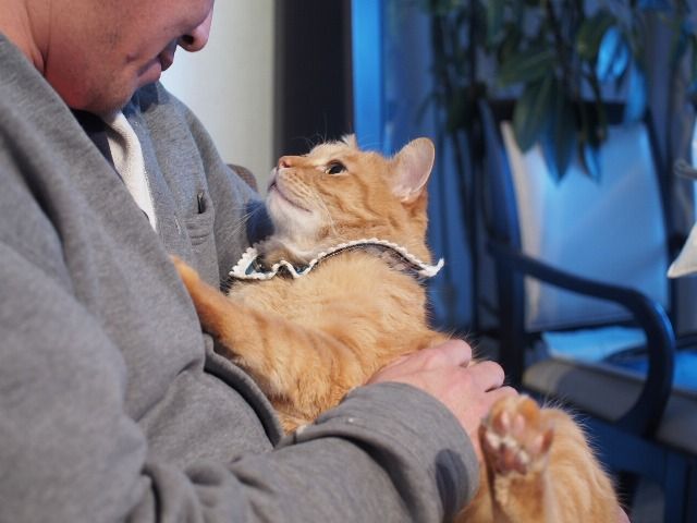 イメージ 6
