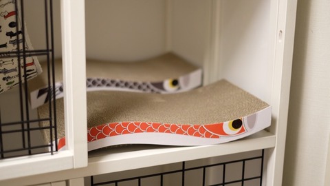 6F6C5F58-8535-432F-A580-915955763376