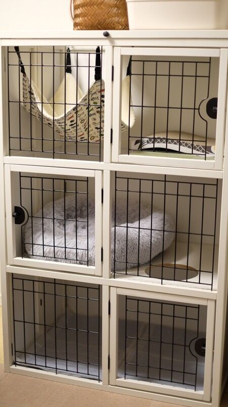 D741F7F6-9B99-49A7-A107-4D8BAAC52037