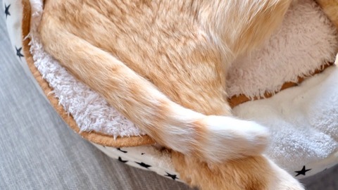 209A5261-97AC-405C-9239-B34F89EB4146