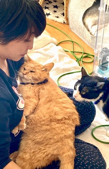 0D9729E6-932D-482E-927D-85C4EFB08C2D