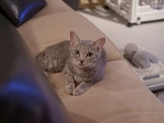 イメージ 2