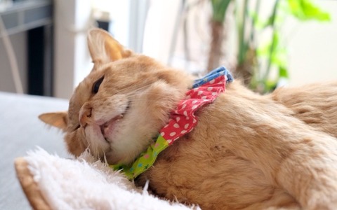 872B44C7-26F0-4CA5-A639-9CEF3EDF687E