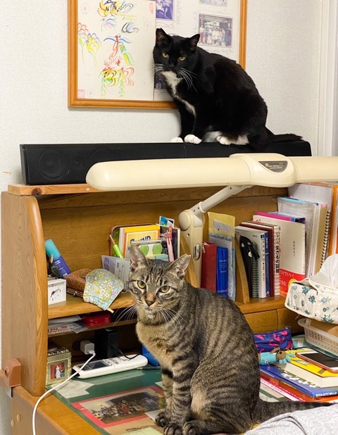 CCC5FD78-88B7-490D-A06F-78EBB4F88144