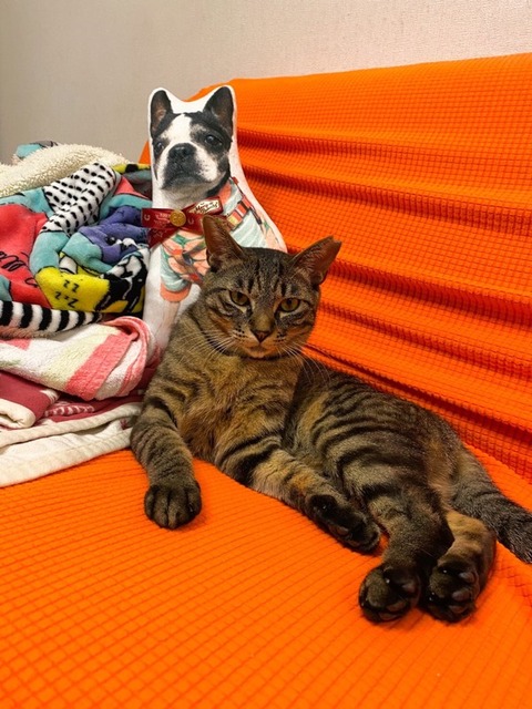 2A1F9476-1486-48FE-A902-408ED84880F4