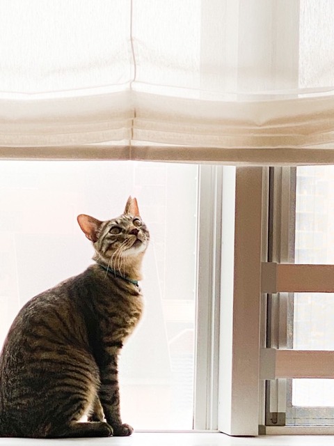 B7972262-B55C-4948-A0FE-AB79C107A5F3