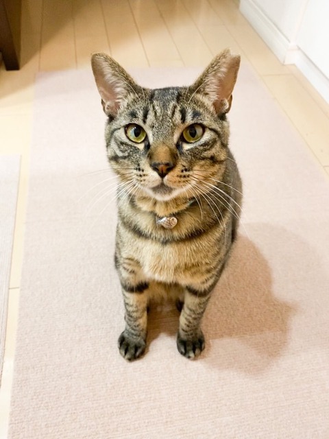 F0066A56-9E8D-4877-8DC5-36295DEB3F3C