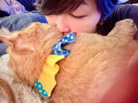 6F833F2D-A324-4ACA-BD9A-6CC2D311C0D3