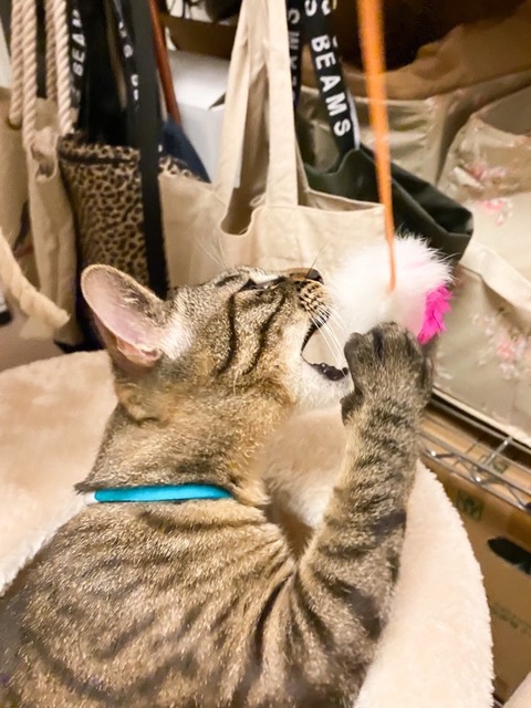 B266AE51-56BA-4E8B-8A41-380913CCC59A