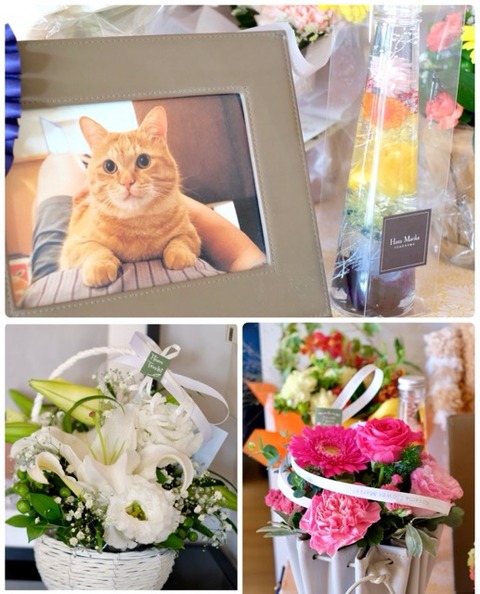 B14FAE02-0911-4652-9B1E-8168C3A6824B