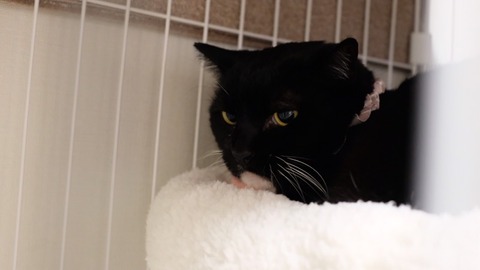 8149993C-9B49-4210-AD8A-2F009AA67AE9