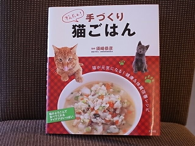 イメージ 15