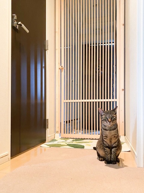 2145353A-D910-43A4-98B4-90292E192444