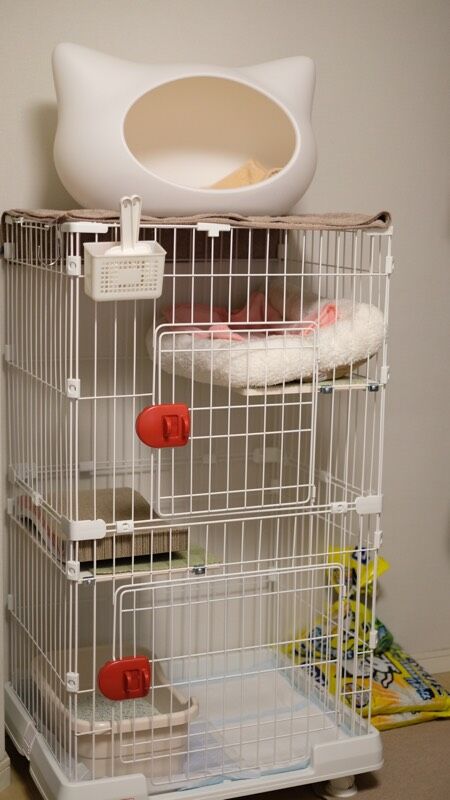 8F617AFD-CF03-4A31-B7C8-034A5336EC47