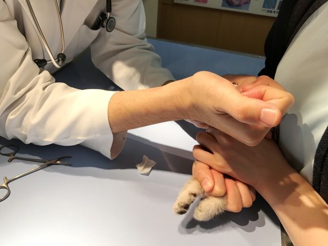 イメージ 32