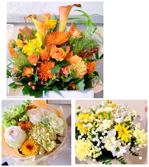 597D0BCD-7666-4965-A371-544009A88014