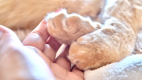 1A0D856A-5205-401D-81FE-E91934E2BCC3