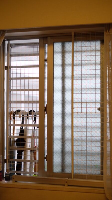 2884FC4F-914A-454A-87EA-FFD54F51E94A