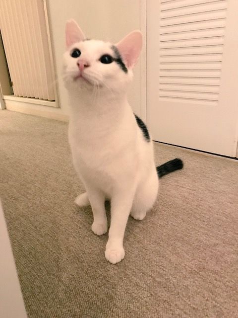 イメージ 14