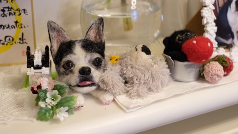 6BC2C6CB-FD6D-441B-B64F-D663CB3D56A9