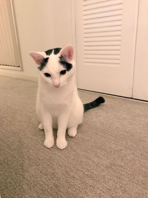 イメージ 13