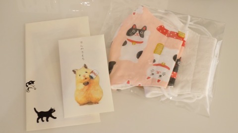 A24F33CC-C5E4-4304-977A-CA99B0F7260C