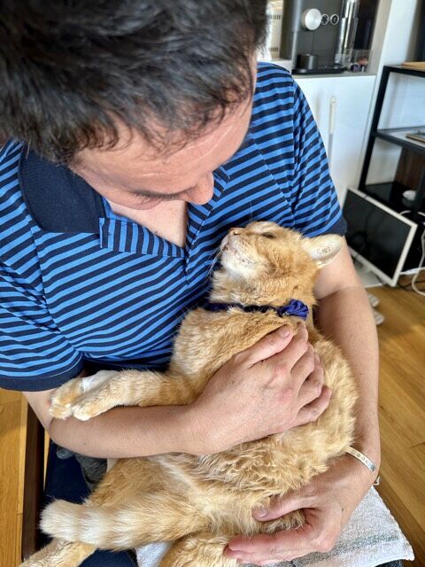 9F57317C-33B4-4C15-87D0-54107061BE71