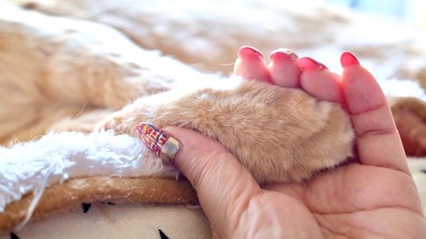 F4C01631-BED1-4C30-AC2E-A25D172733BC