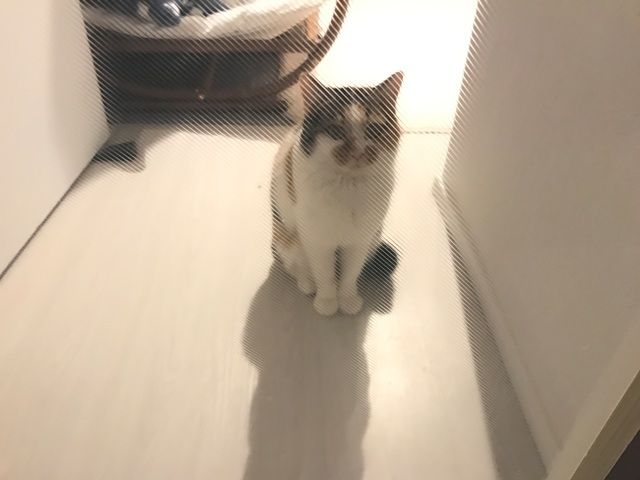 イメージ 14