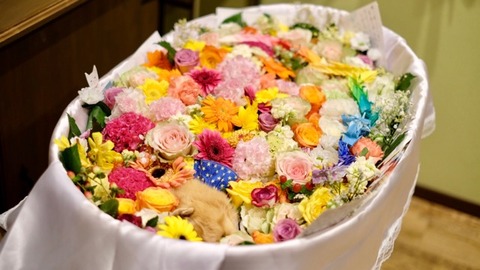 044C0C85-FFAB-49F1-9167-BB9B233E708D