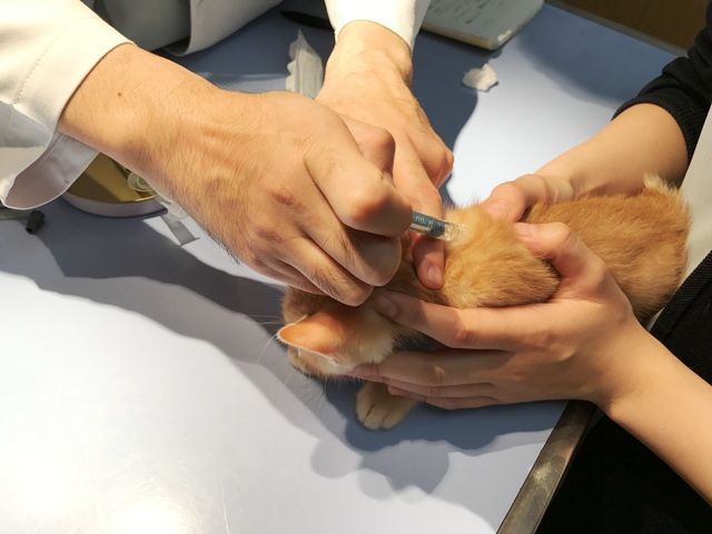 イメージ 47