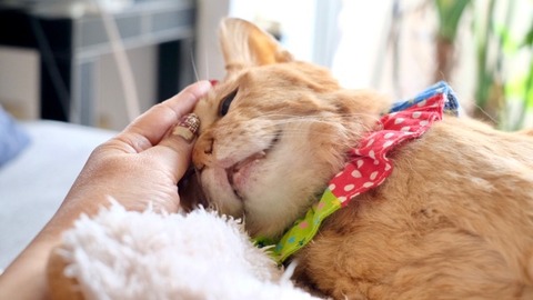 6DF1BB88-8B5F-4AEA-9A4E-D0FF1ED521B6