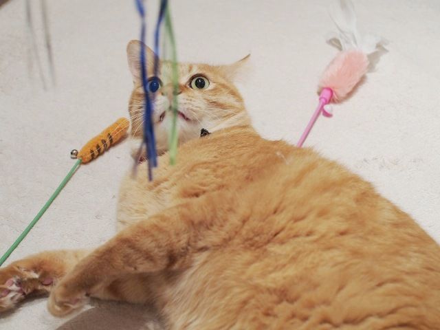 イメージ 3