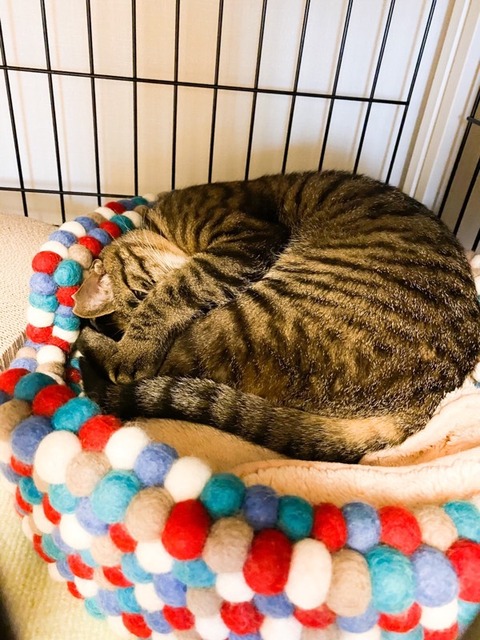 E57ACA55-FB42-4B45-83C6-C2D431DBA3F1