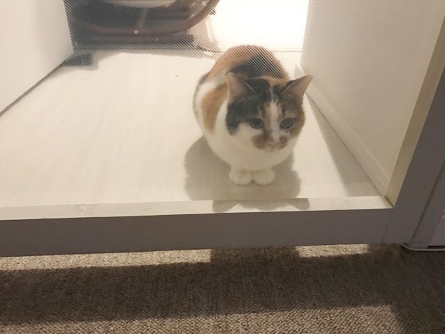 イメージ 13