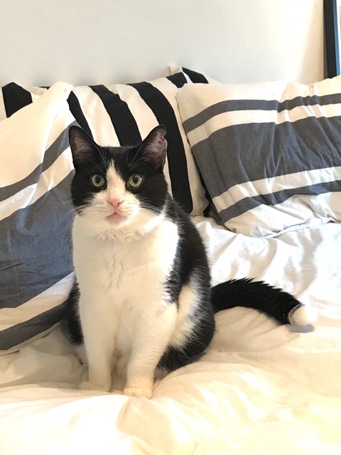 1021A08B-F419-4A48-9681-6AE6604B3E97