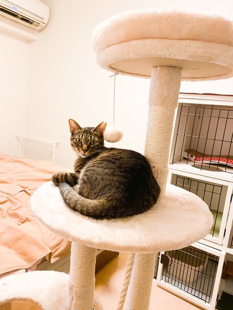 EFB69862-0A71-497A-B637-F62F58993EC5