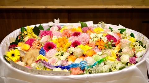 26A71F4F-3DBA-4D19-8E18-F409E080FC5E