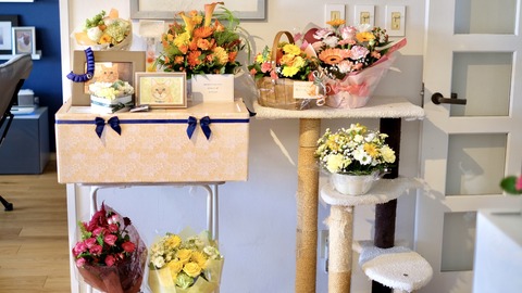 42A20BA6-520F-4226-A0A2-698AE4F87E47