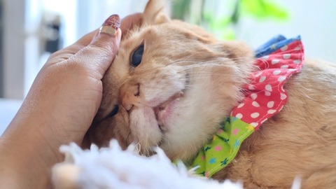 AF237EB6-B4F5-4C0F-A3BD-B8DC8A9A7058