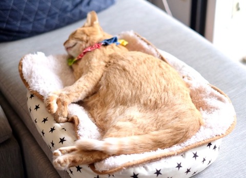 B759AFAE-143E-454D-A0E7-4EDE1A835AF2