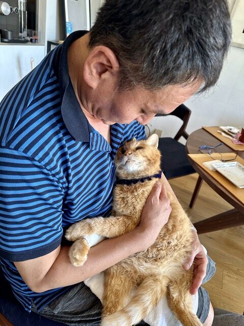 34FE87BC-DA7B-4DA7-9CE5-F71F5500B9F7