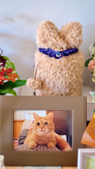 CD76884D-58C0-4B42-9EED-D12F73ACB8EB